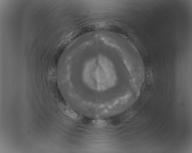 X0000076090419200610202114