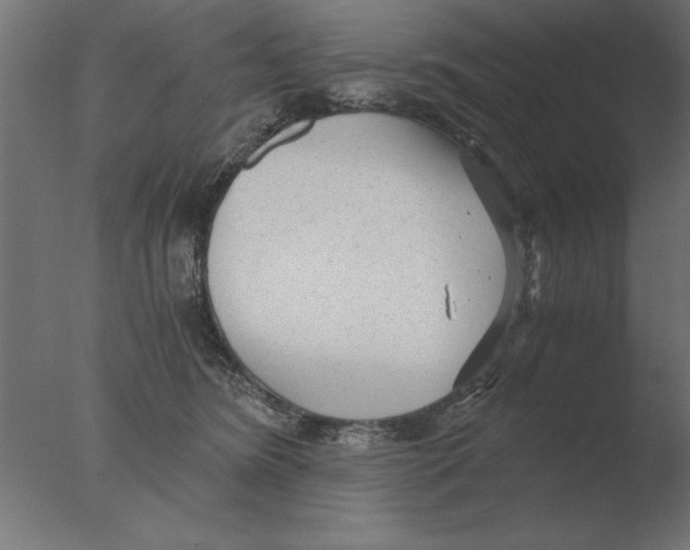 X0000076090420200610202114