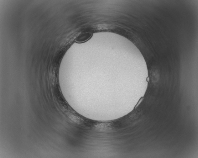 X0000076090422200610202114