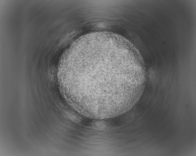 X0000076090423200610202114