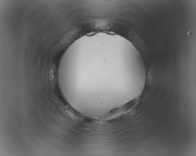 X0000076090424200610202114