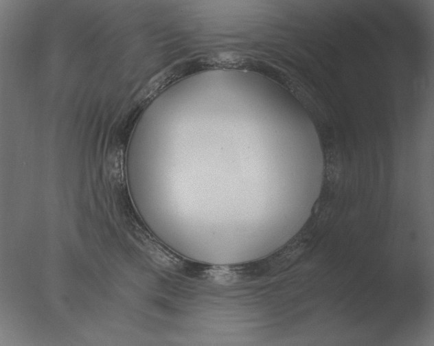 X0000076090425200610202114