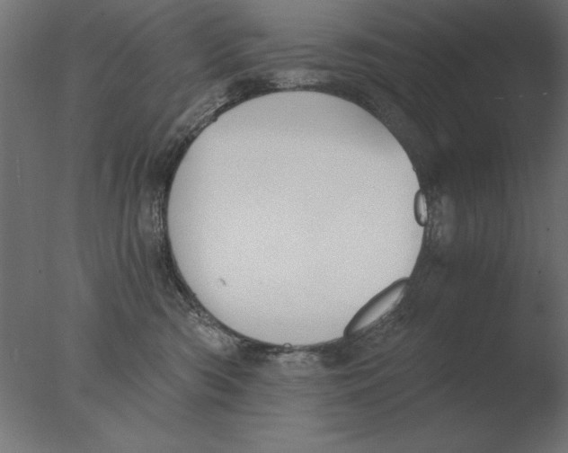 X0000076090426200610202114