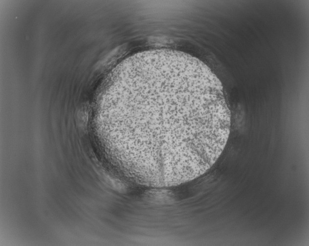 X0000076090427200610202114