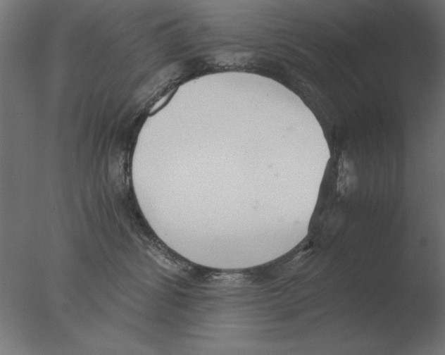 X0000076090428200610202114