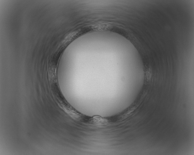 X0000076090429200610202114