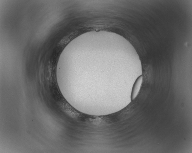 X0000076090430200610202114