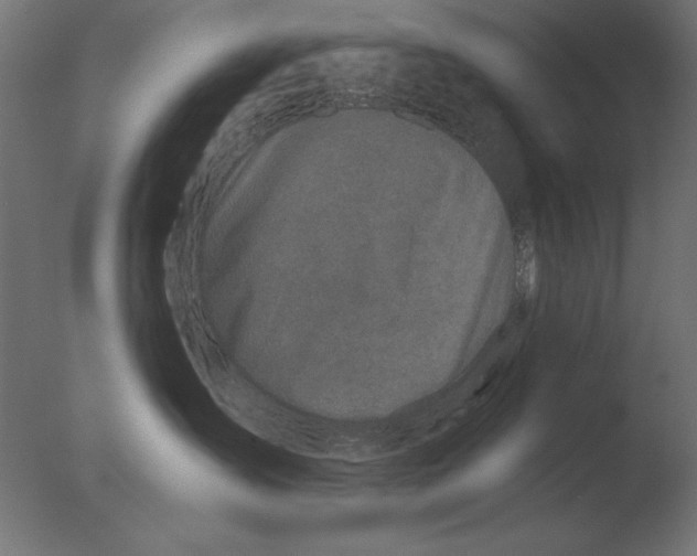 X0000076090431200610202114