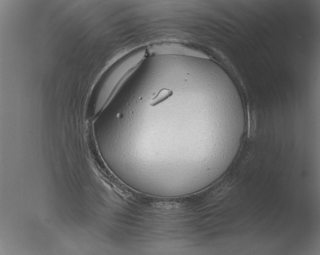 X0000076090435200610202111