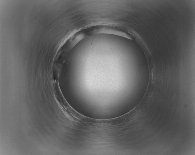 X0000076090436200610202111