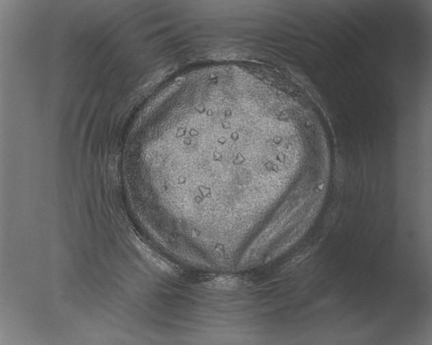 X0000076090441200610202111