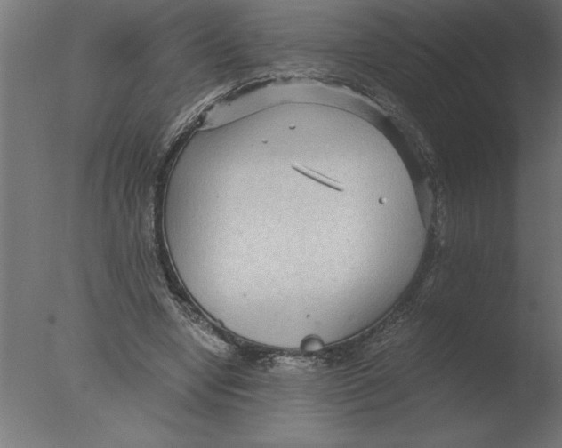 X0000076090442200610202111