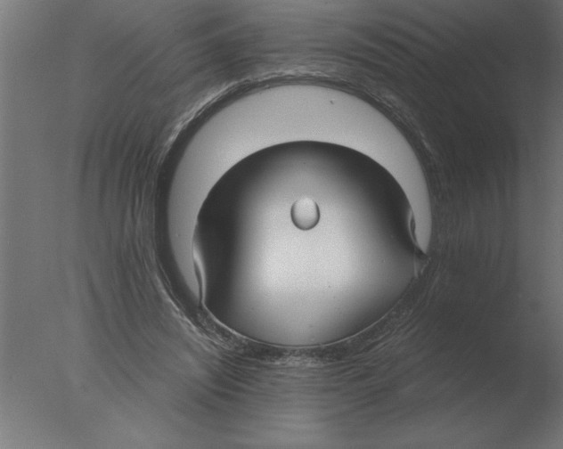 X0000076090444200610202111