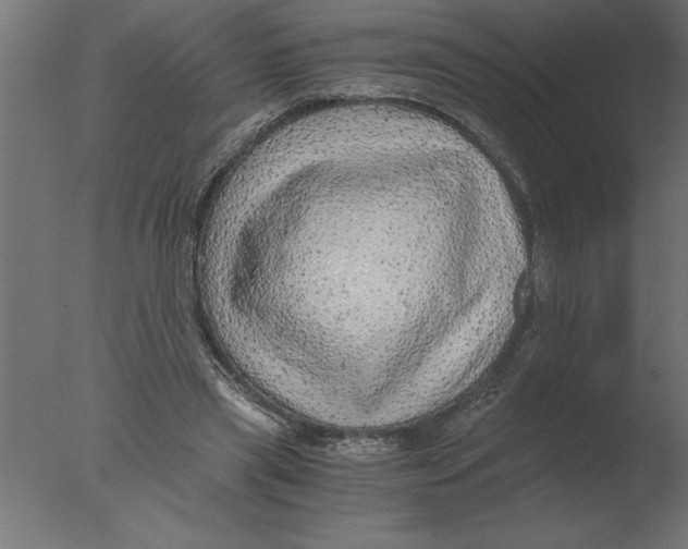 X0000076090445200610202112