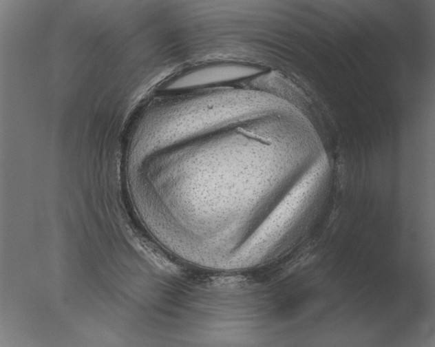 X0000076090446200610202112