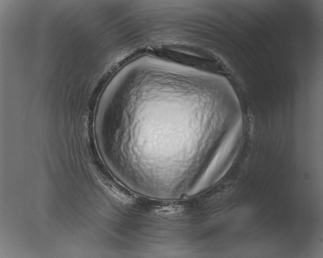 X0000076090447200610202112