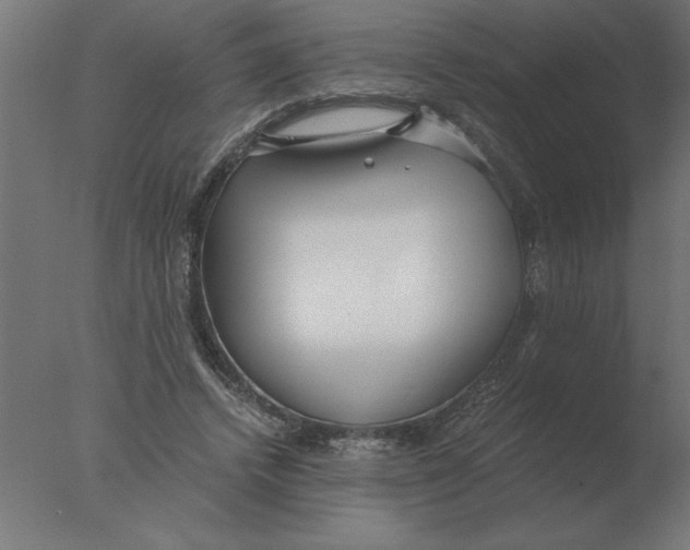 X0000076090448200610202112