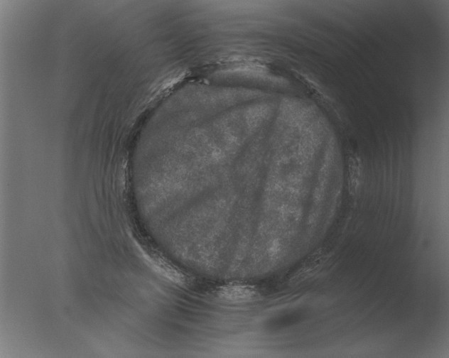 X0000076090451200610202112