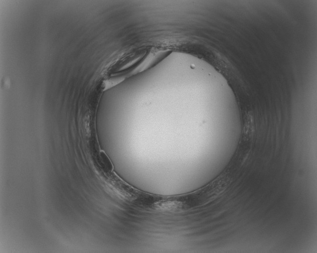 X0000076090452200610202112