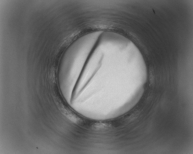 X0000076090453200610202112