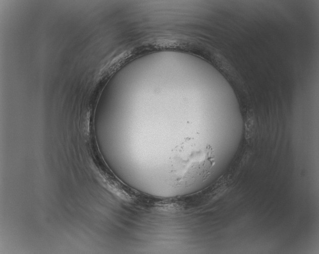 X0000076090454200610202112