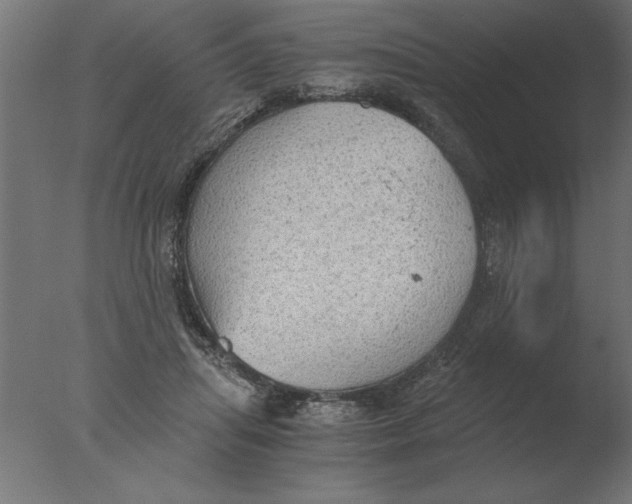 X0000076090455200610202112