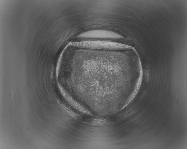 X0000076090458200610202113