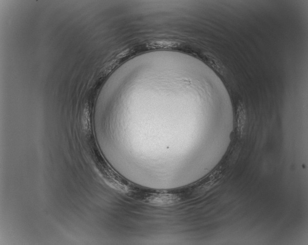 X0000076090459200610202113