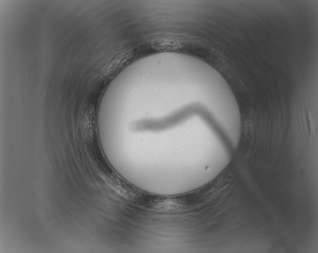 X0000076090460200610202113