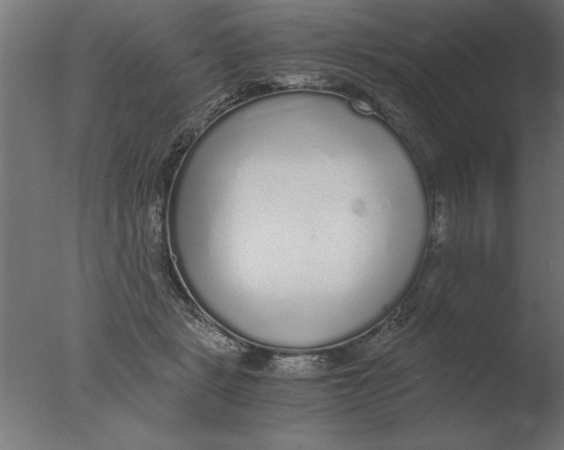 X0000076090461200610202113