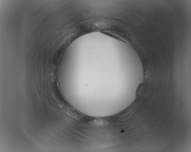 X0000076090464200610202113