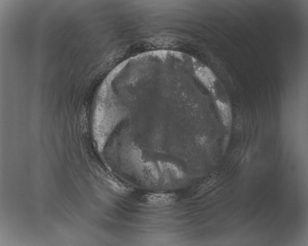 X0000076090465200610202113