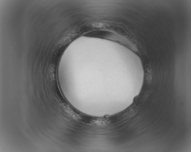 X0000076090466200610202113