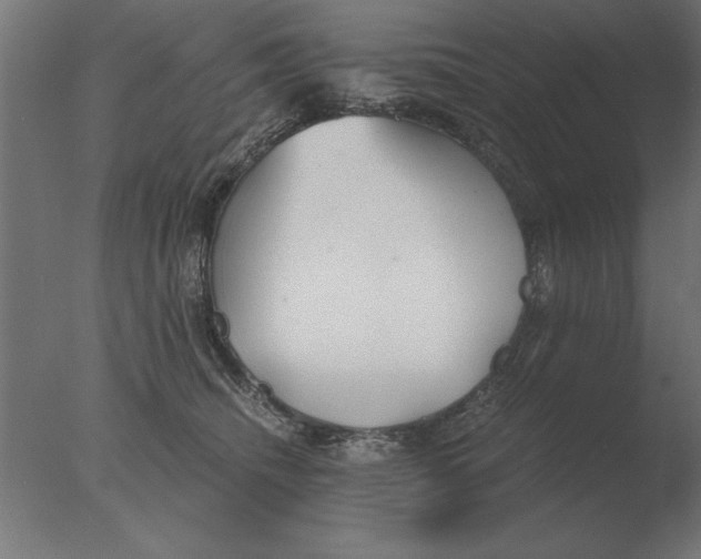 X0000076090468200610202113