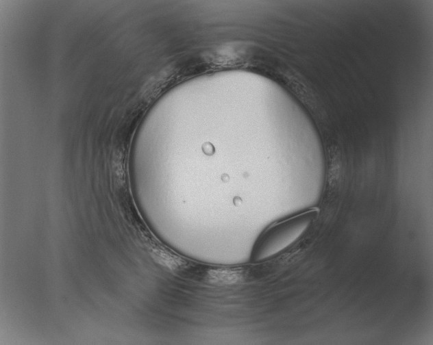 X0000076090469200610202113