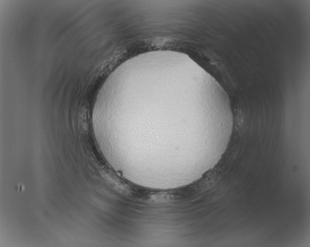 X0000076090470200610202113