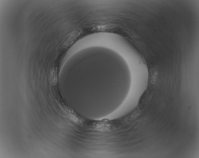 X0000076090471200610202113