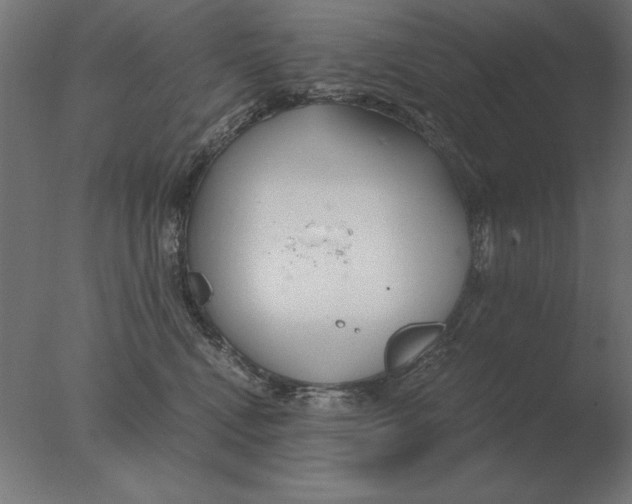 X0000076090472200610202113