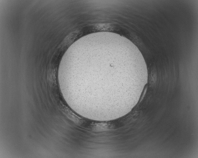 X0000076090473200610202113