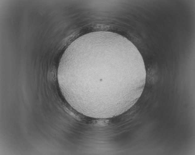 X0000076090474200610202113