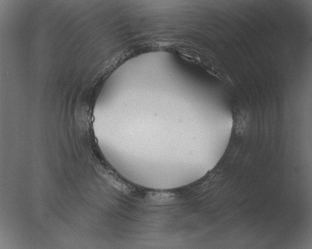 X0000076090476200610202113