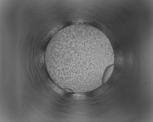 X0000076090477200610202114