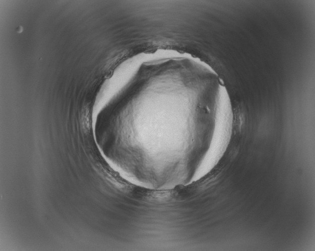 X0000076090479200610202114