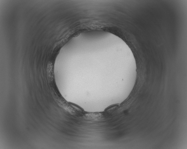 X0000076090480200610202114