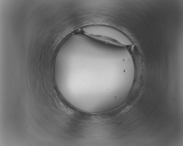 X0000076090481200610202111