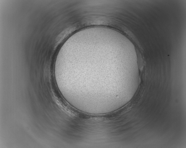 X0000076090482200610202111