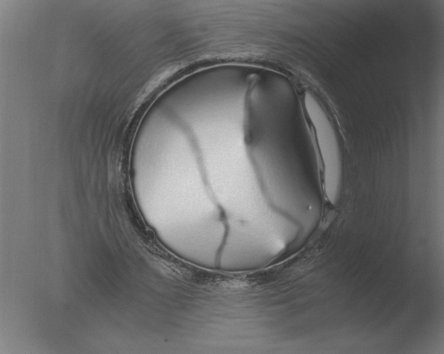 X0000076090483200610202111