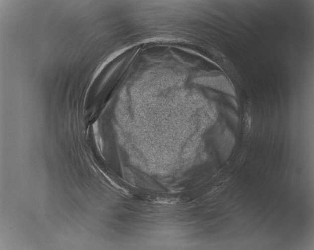 X0000076090484200610202111