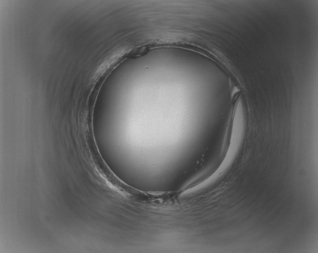 X0000076090485200610202111