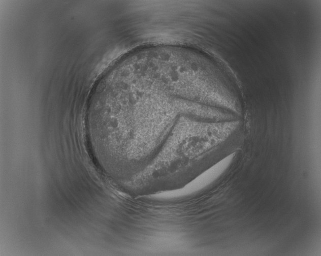 X0000076090487200610202111